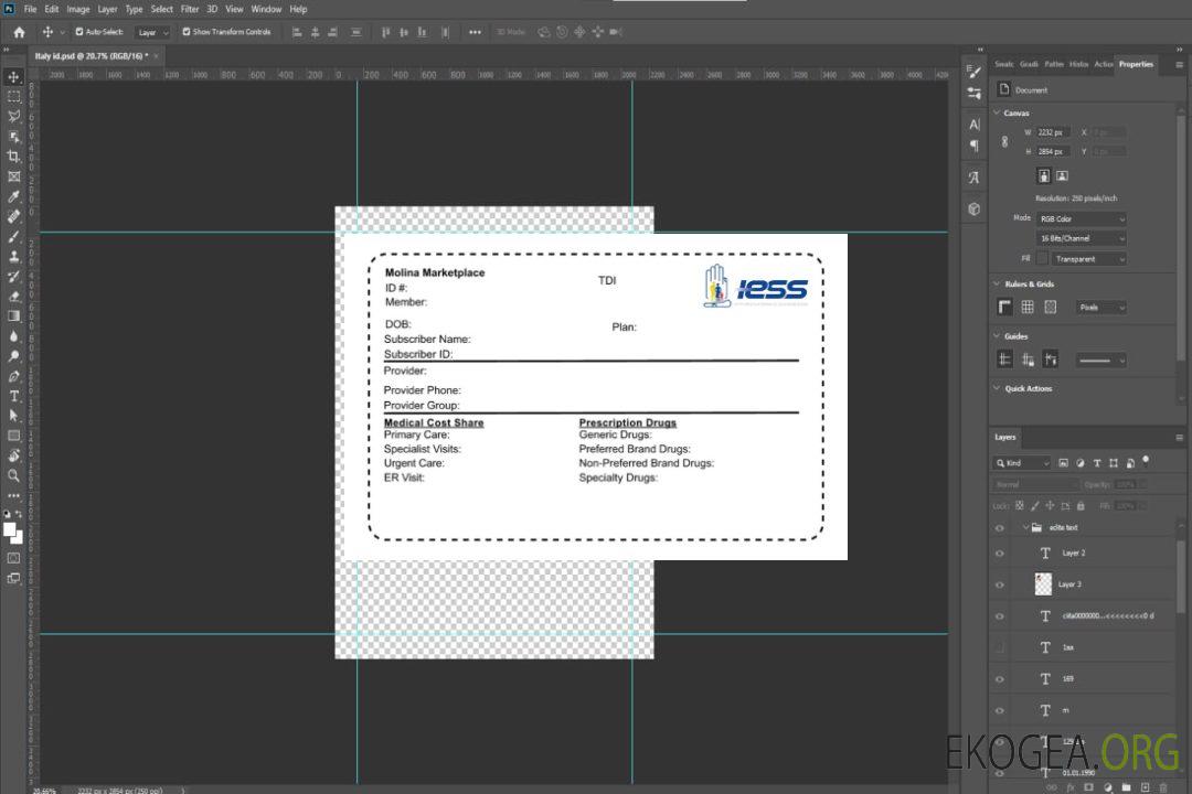 Carte d'assurance maladie de l'Équateur template